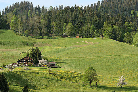 Berghaus in spring