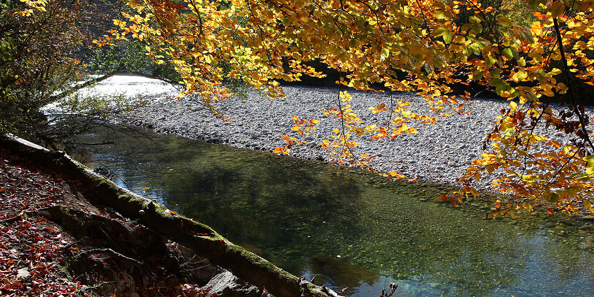 03_slider-herbst03.jpg